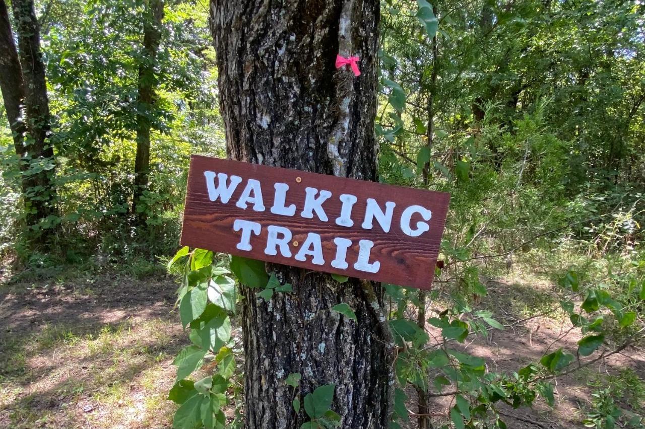 The Woods Lodging Kingston Luaran gambar