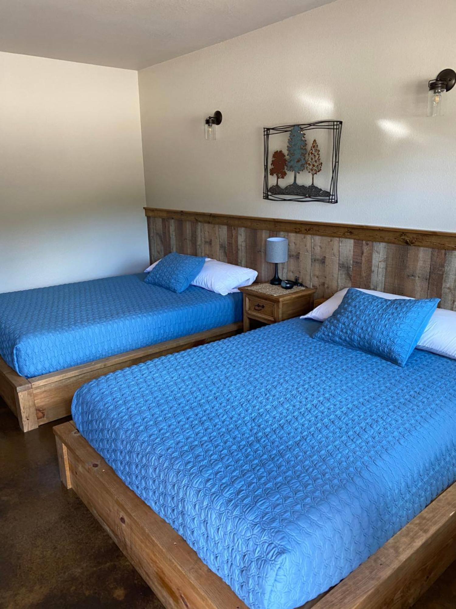The Woods Lodging Kingston Bilik gambar